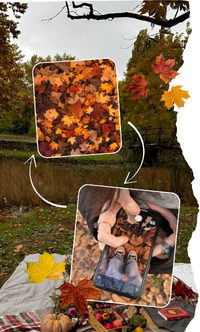 ¿Qué prefieres? Edición otoño